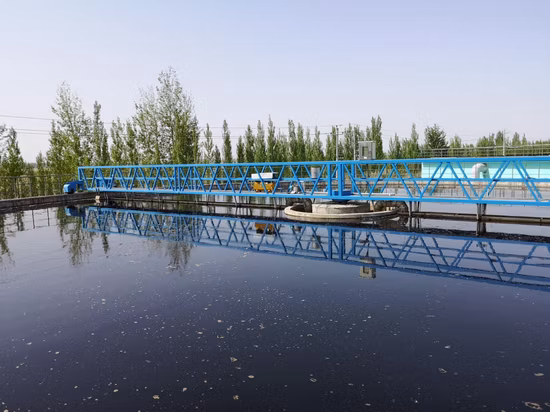 Equipo de tratamiento de aguas residuales con raspador de lodos de accionamiento periférico en sedimentación secundaria para tanques de aguas residuales industriales y domésticas
